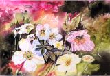 34 - Diane Poole 'Hellebores, Mixed Media.JPG